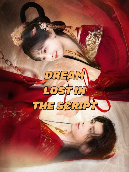 DREAM LOST IN THE SCRIPT